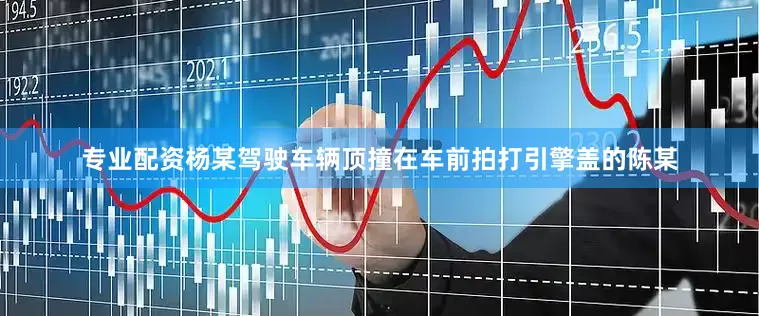 专业配资杨某驾驶车辆顶撞在车前拍打引擎盖的陈某