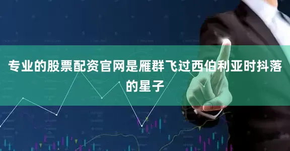 专业的股票配资官网是雁群飞过西伯利亚时抖落的星子