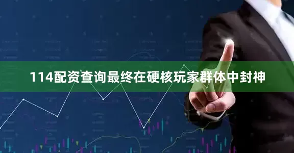 114配资查询最终在硬核玩家群体中封神